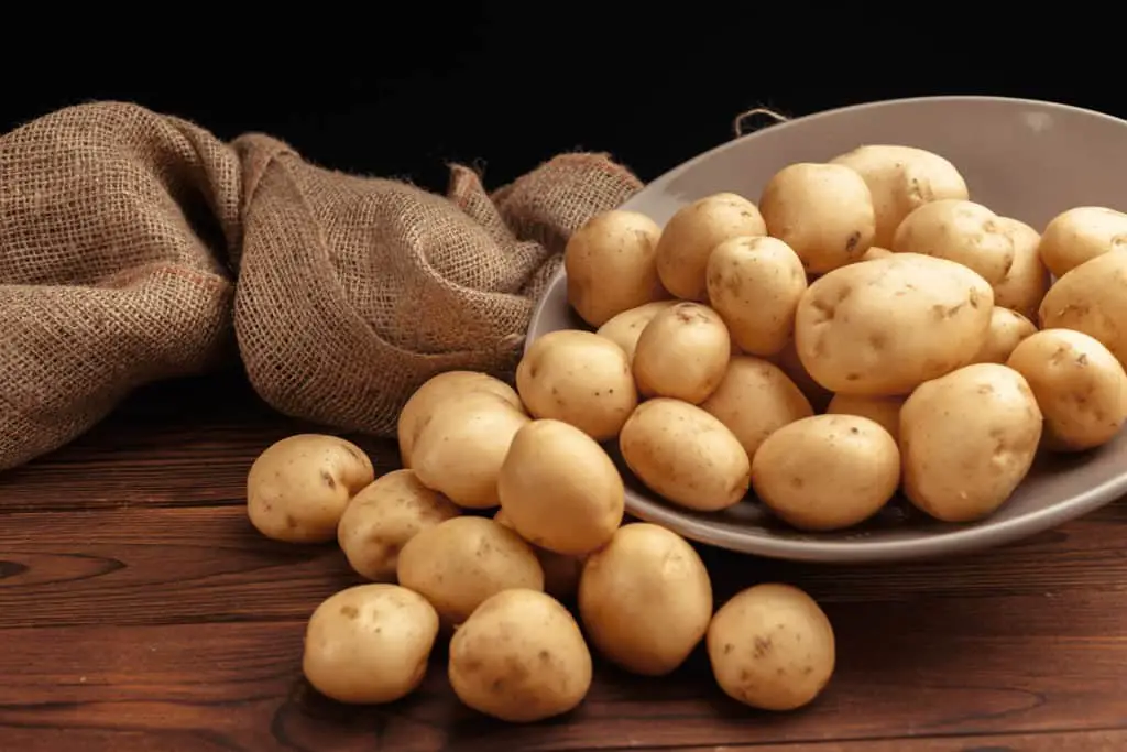 Kartoffeln Laktose
